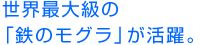 世界最大級の「鉄のモグラ」が活躍。